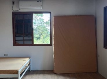 484033446_965395175719096_5826645849197741515_n