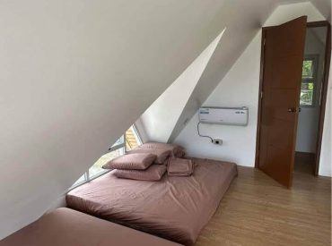 492131715_994505659474714_3837682107009261233_n